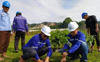 Hari Lingkungan Hidup, Bosowa Semen Tanam Ribuan Pohon di Maros
