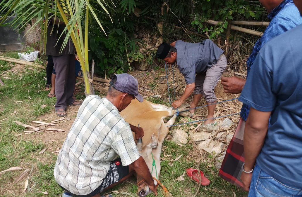 Manajemen dan Karyawan Berkurban Untuk Warga Ring 1