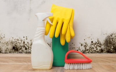 Cara Mengatasi Dinding yang Berjamur dan Berlumut