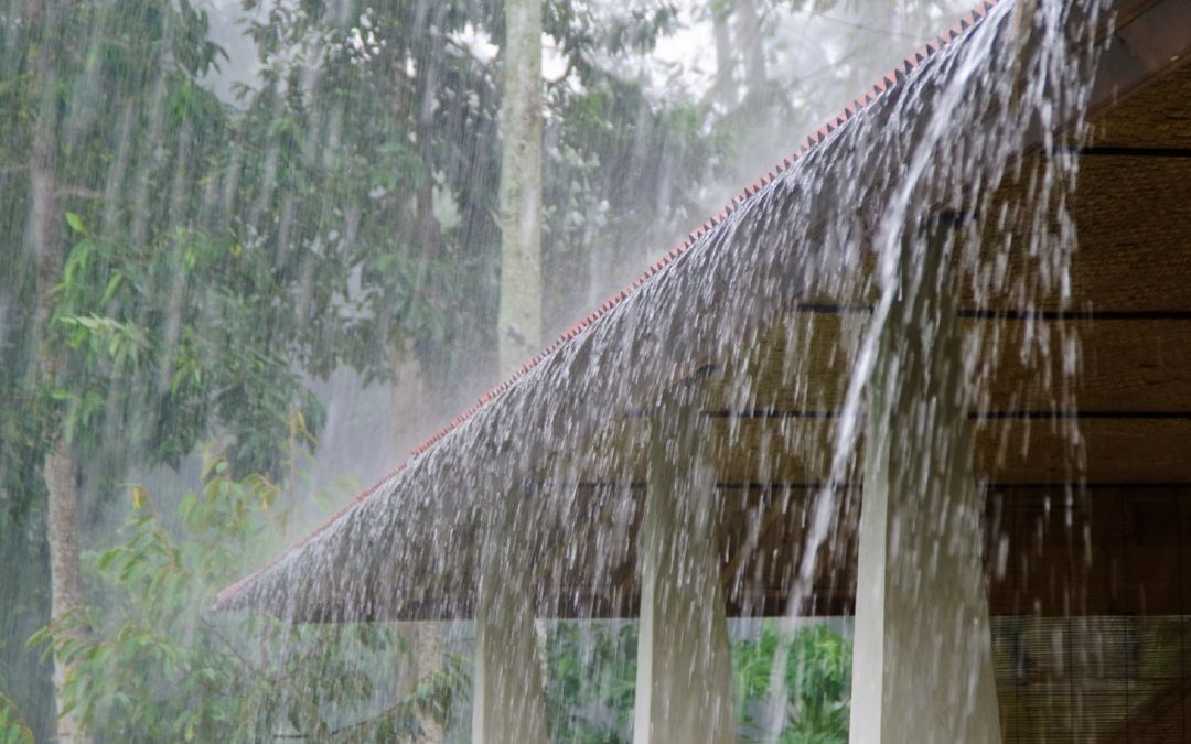 6 Hal yang Perlu Diperhatikan di Rumah Saat Musim Hujan